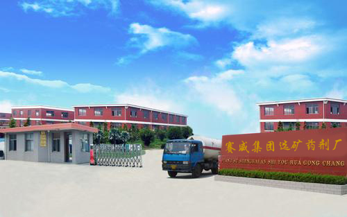 introcing of Sellwell (Group) Flotation Reagent Factory